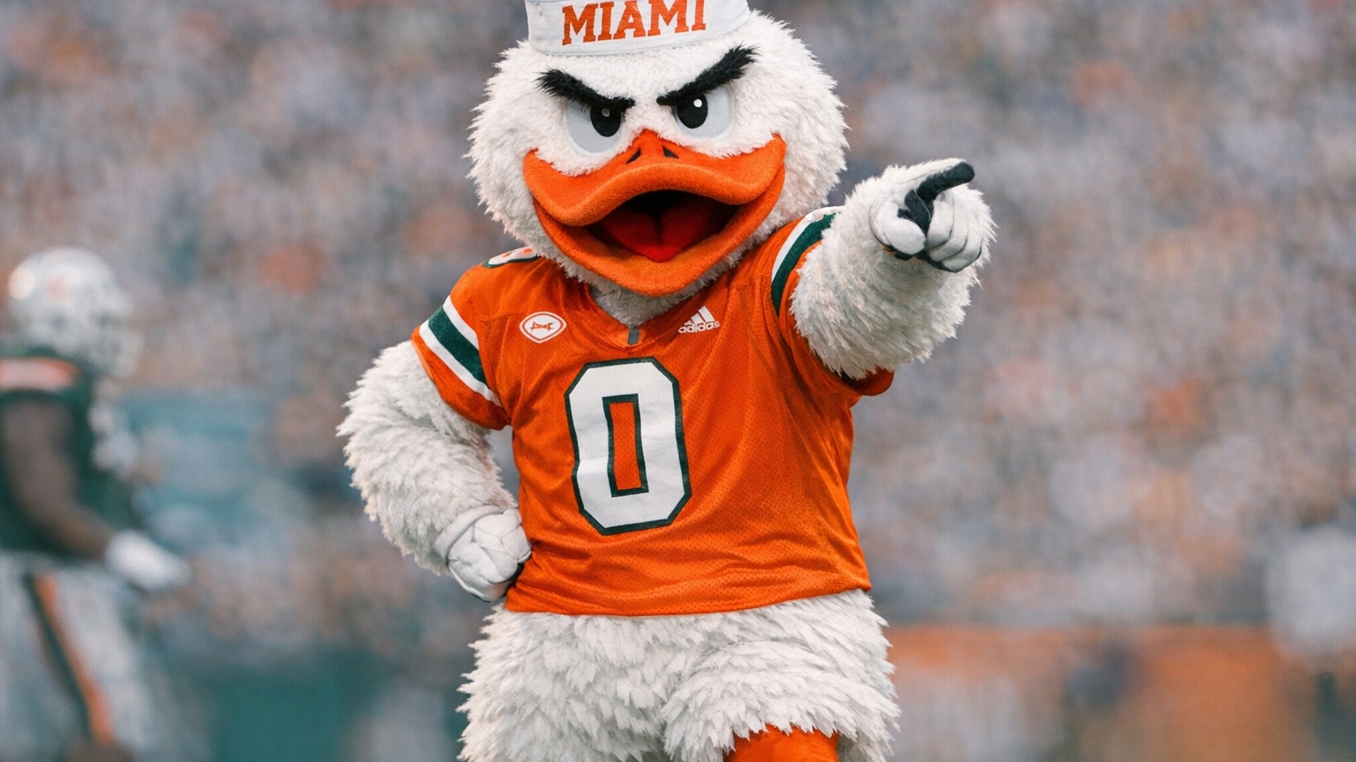Miami hurricanes mascot