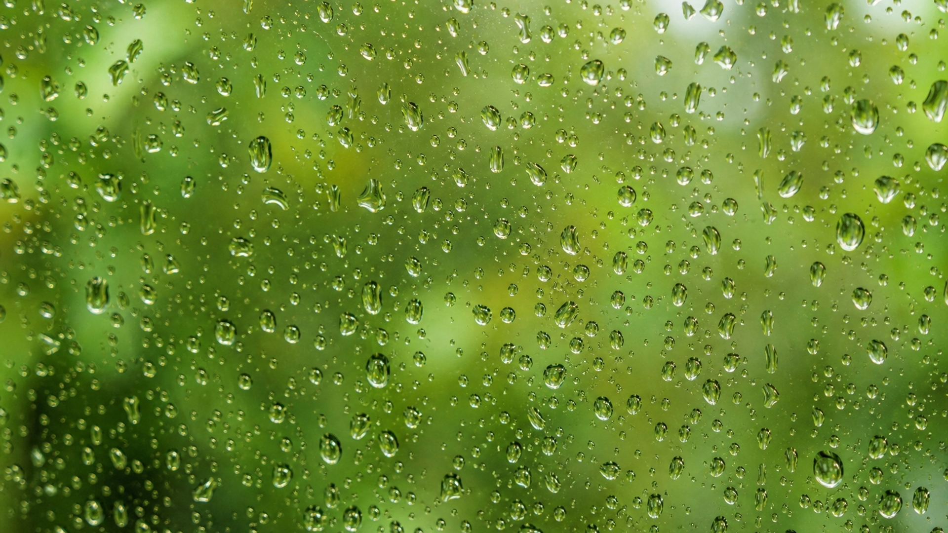 Lime Green Raindrops On Windows HD