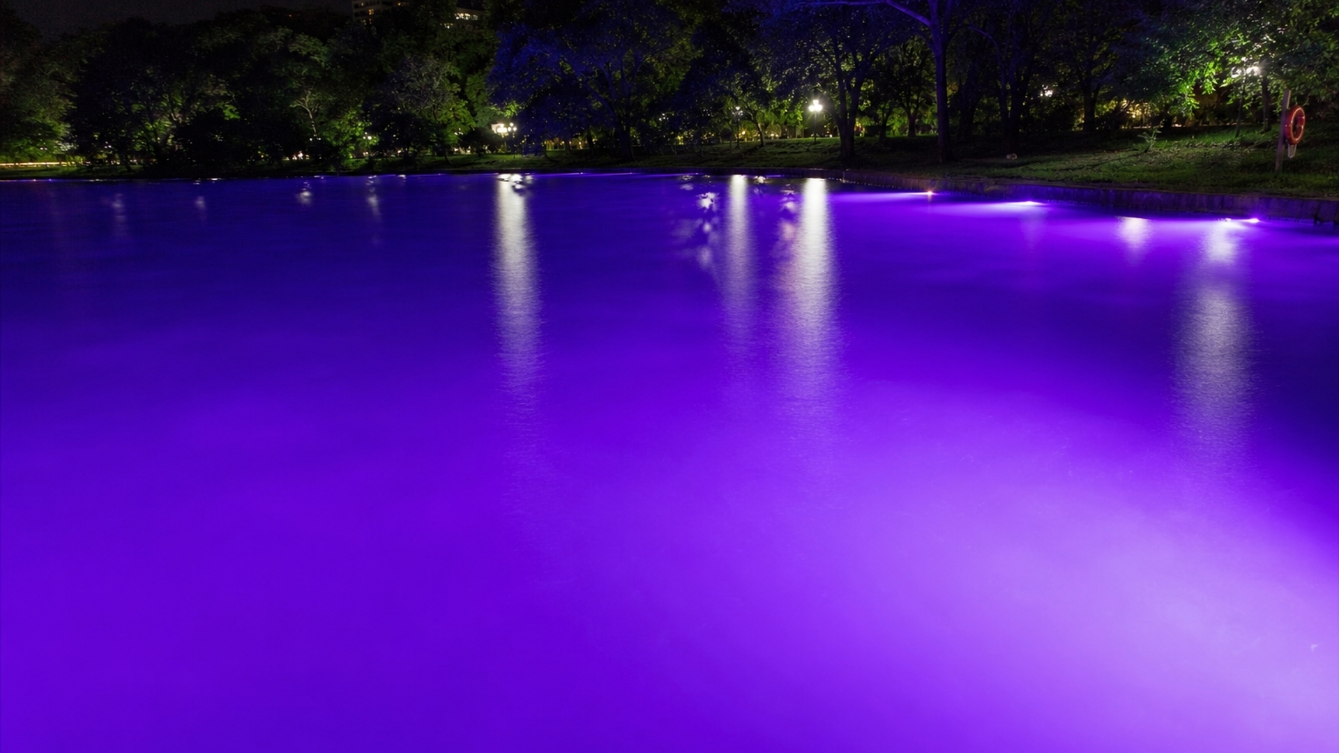 Glowing Purple Lake at night HD