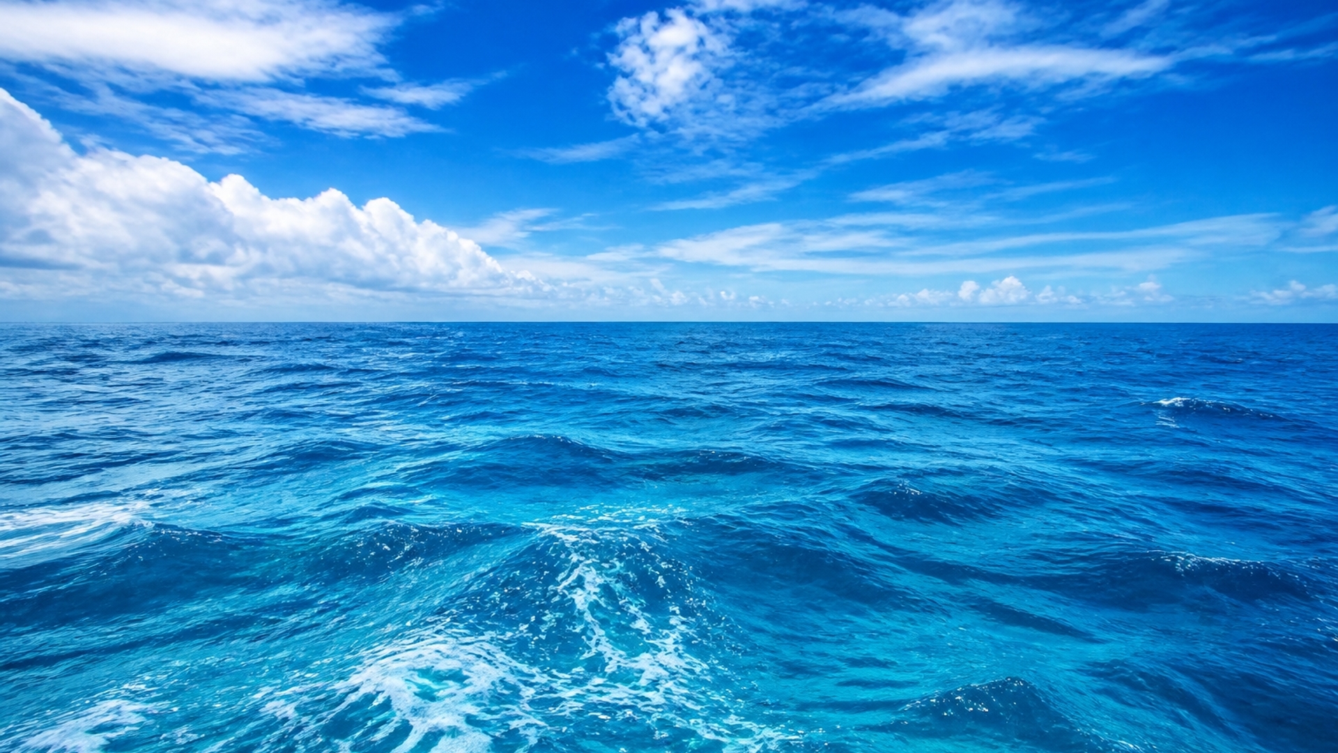 Build an Picture Ocean 
