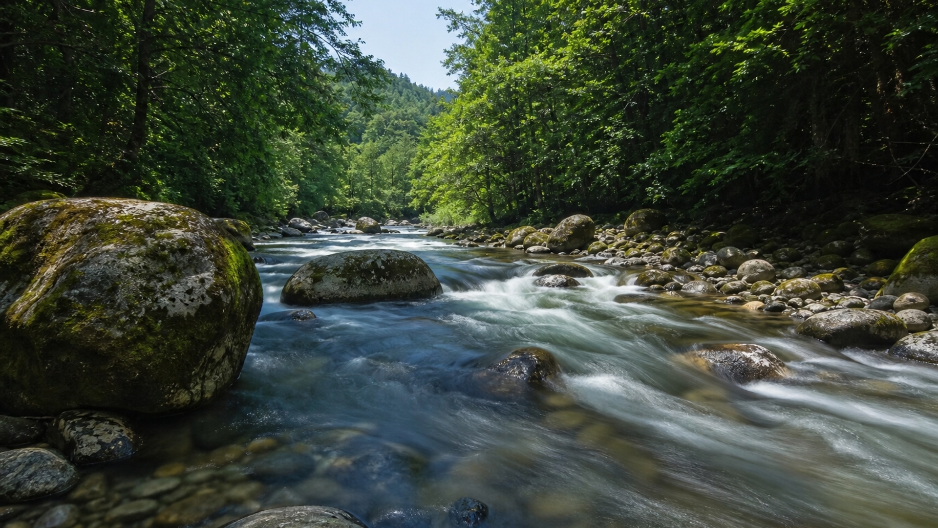 zen river hd