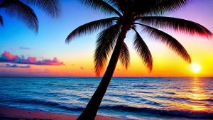 Palm trees, ocean and sunset.