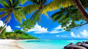 Summer Beach in Seychelles with palms and white sand