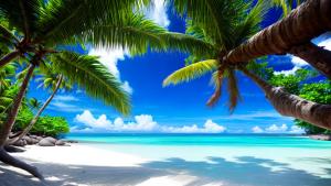 Summer Beach in Seychelles with palms and white sand