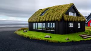 Icelandic seashore turf house