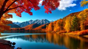 beautiful autumn mountain lake forest