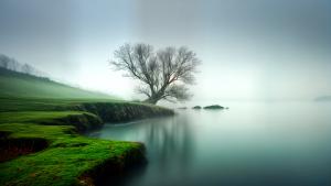 Misty calm scenery