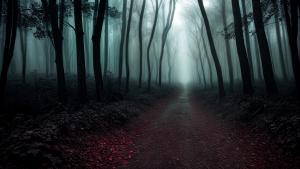 Creepy dark forest