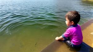 a picture of child near water