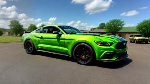 shrek ridding ford mustang