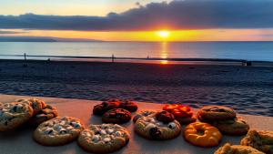 Cookies on the beach enjoying the sunset as a panorama