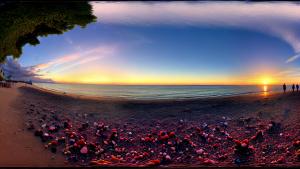 Cookies on the beach enjoying the sunset as a panorama