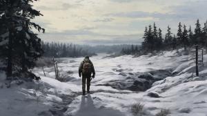 Dayz lone wolf survivor walking snow