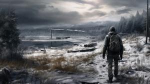 Dayz lone wolf survivor walking snow