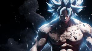 Goku Ultra instinct, HD, Perfect detail, anime accurate