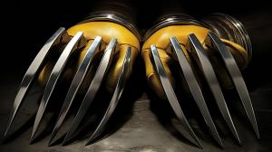 Wolverine claws