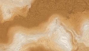 topographic