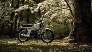 a white and black white tomos a35 with dark trees in the background
