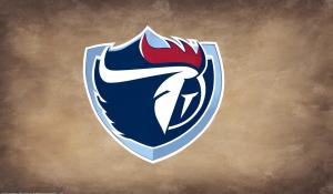 Tennessee titans logo