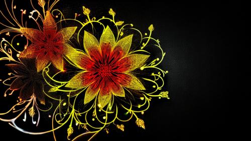 Glowing abstract flowers on black background