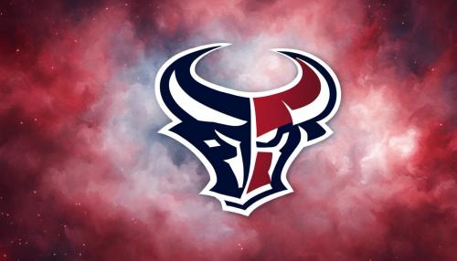 Houston Texans Football Team Logo Battle Red 