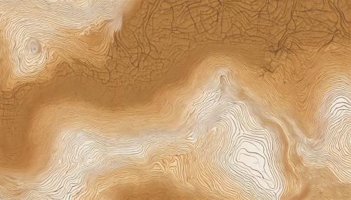 topographic