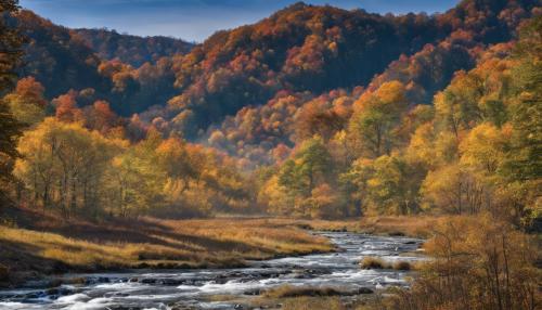 Cosmis Bluegrass Mountains 