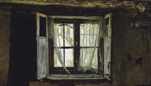 A ghost in an old abandoned houses window